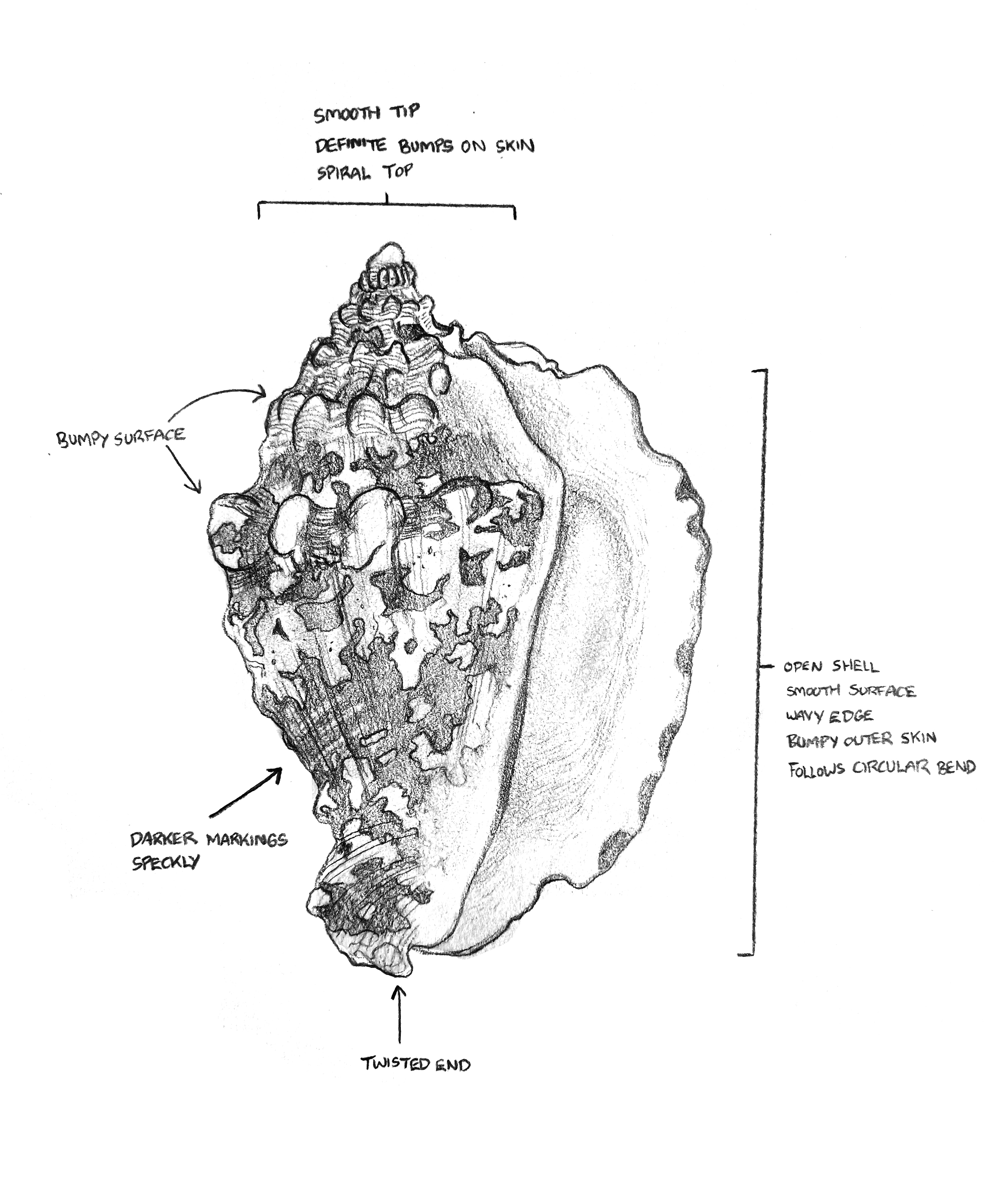 Artwork 16