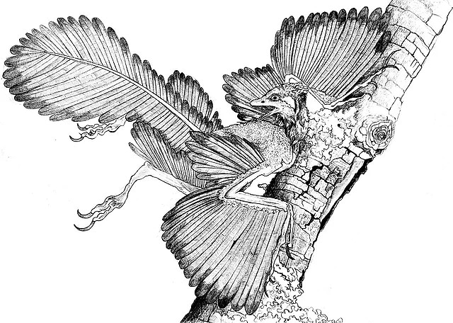 Artwork 19