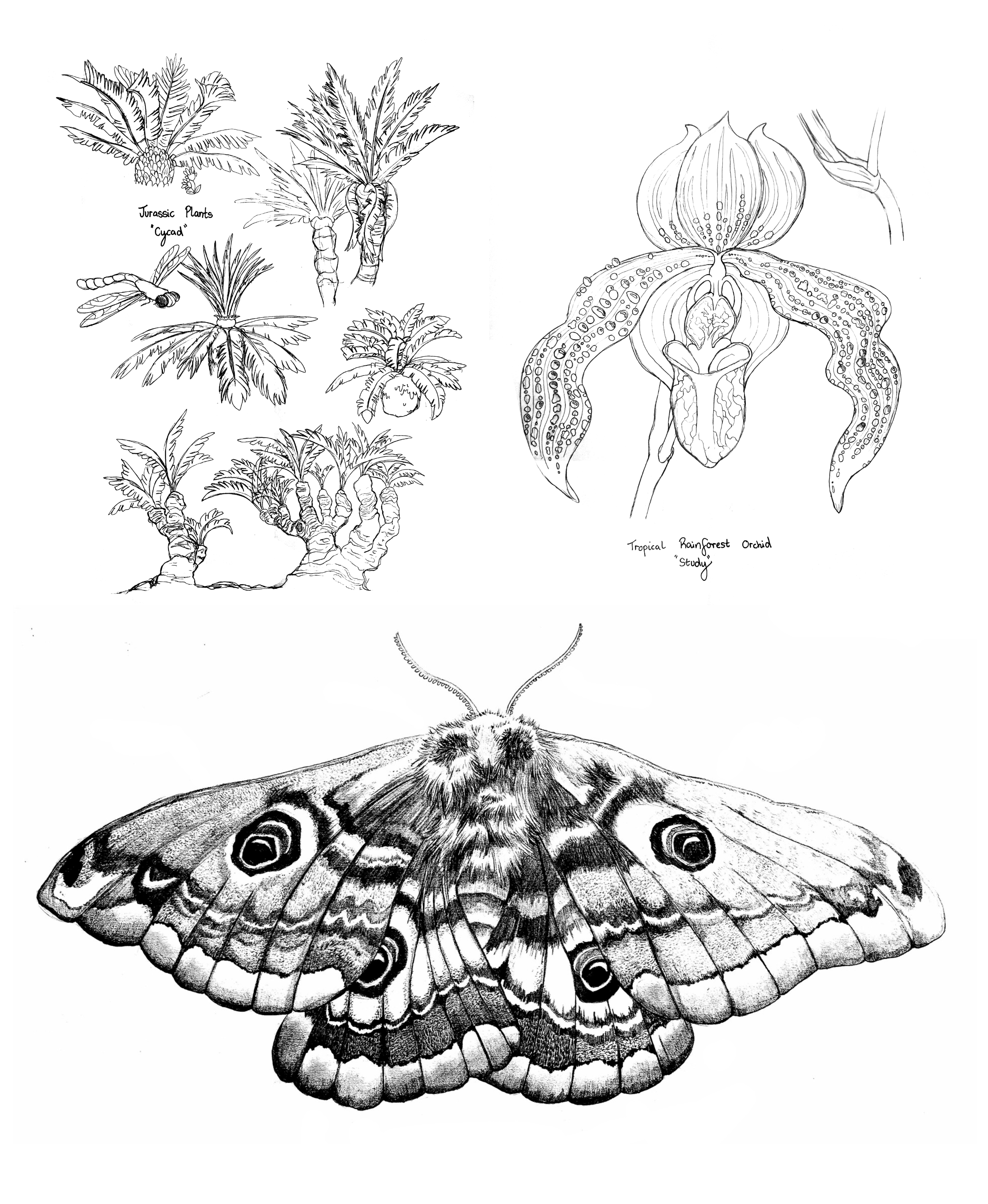 Artwork 20